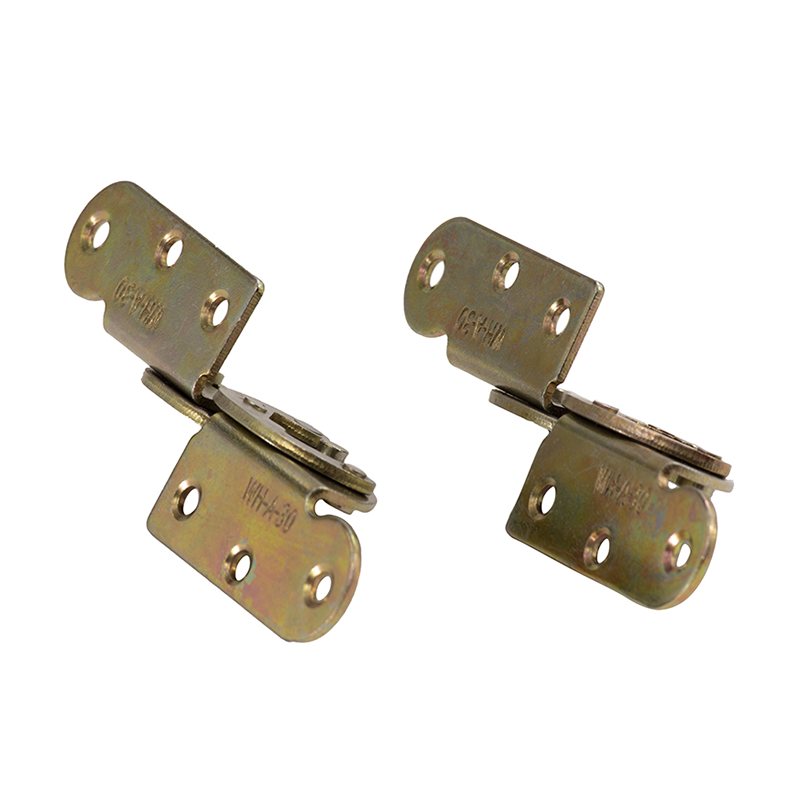 Iron Surface Coating Functional Hinge